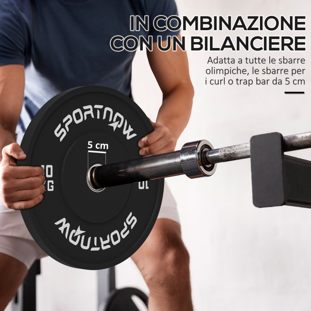 SPORTNOW Σετ 2 Δίσκοι Βάρους 10kg από Καουτσούκ με Τρύπα 2/5 cm για Μπάρες και Μονόζυγα, Μαύρο A91-374V02BK