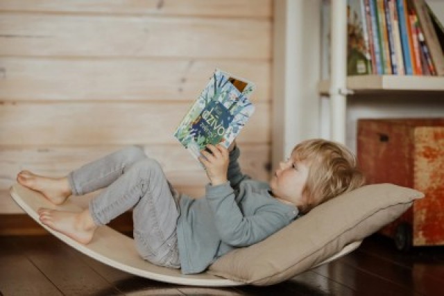ECOTOYS Ξύλινη σανίδα ισορροπίας για παιδιά - ασκήσεις ισορροπίας μ...