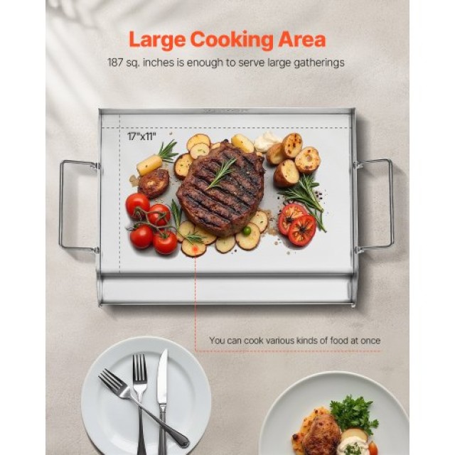 VEVOR Πλάκα Ψησίματος Ανοξείδωτη 17x13 για BBQ SCJPBXG1713IYPLMKV0