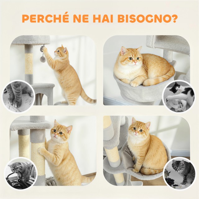 PawHut Δέντρο Γρατσουνίσματος για Γάτες με Σκάλα, 2 Αιώρες, 3 Θέσει...