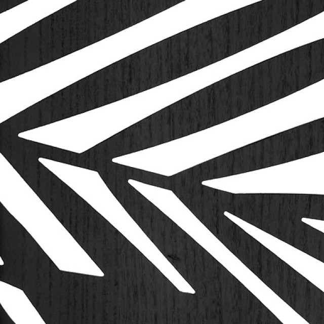 Πτυσσόμενο Διακοσμητικό Παραβάν Akira 120 x 1,8 x 170 cm Μαύρο 1568...