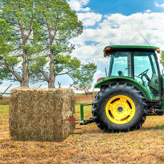 Ζεύγος Δοκών Σανό VEVOR 39 με Ικανότητα 3000 lbs για Τρακτέρ/Φορτωτ...