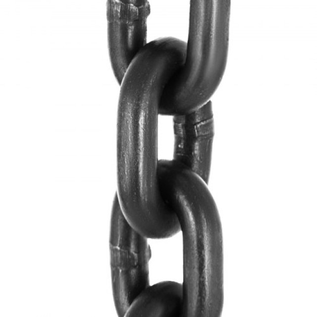 Αλυσίδα Ανύψωσης VEVOR 5FT Διπλή με Γάντζους 4T Grade80  GLSJG80SZ10MMX1.5V0