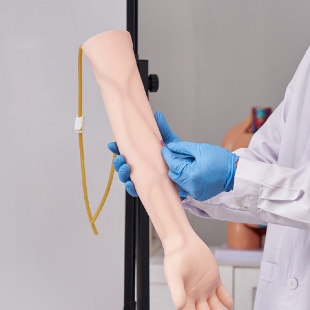Σετ Εξάσκησης Φλεβοτομίας VEVOR - Προσομοιωτικό Χέρι IV  ZSCXLXTJDP2ZH85AXV0