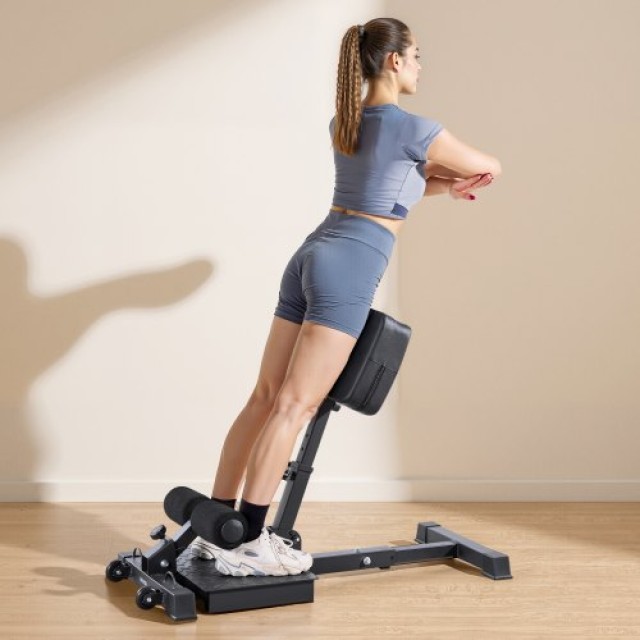 VEVOR Πολυλειτουργική Μηχανή Sissy Squat - Διαστάσεις 1150 x 489 x ...