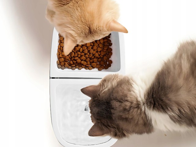 Verk Group Αυτόματη Ταΐστρα και Συντριβάνι Νερού για Σκύλους και Γά...