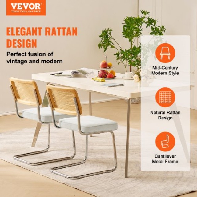 Σετ 2 Καρεκλών VEVOR Rattan, Μοντέρνες Καρέκλες Τραπεζαρίας με Βελούδινη Επένδυση, Λευκές  TBYCYTERBS202HFWRV0