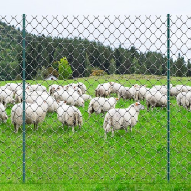 Σετ 10 Μεταλλικών Πασάλων Φράχτη 7 Ποδιών VEVOR Πράσινο  WLLZJSK7YC103JD9JV0