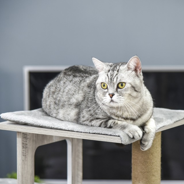 PawHut Multi-level Cat Scratching Post Tree, Κρεβάτι και σχοινιά από γιούτα, γκρι D30-318