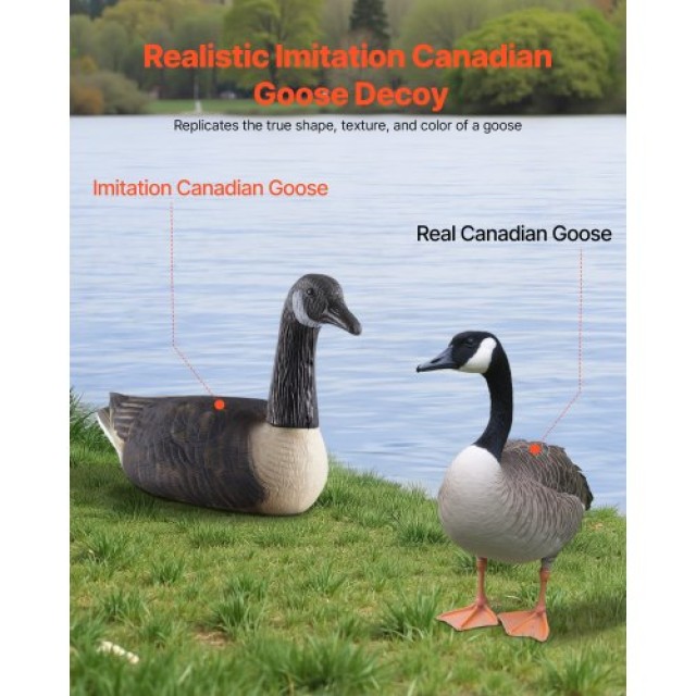 VEVOR Υπερρεαλιστικές Διακοσμητικές Χήνες Canada Goose 6-Pack JTSLY...