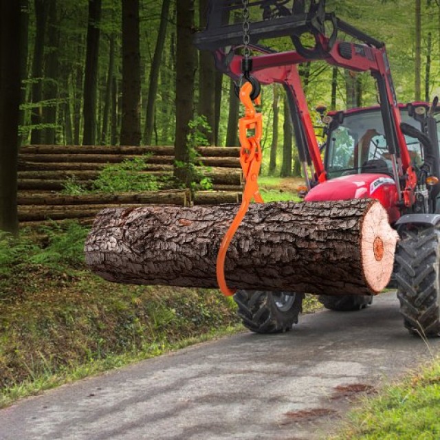 Τσιμπίδα Ξυλείας VEVOR 18 με 2 Δόντια, 350 kg Φορτίο  YMQZQ18YC2ZK618WUV0