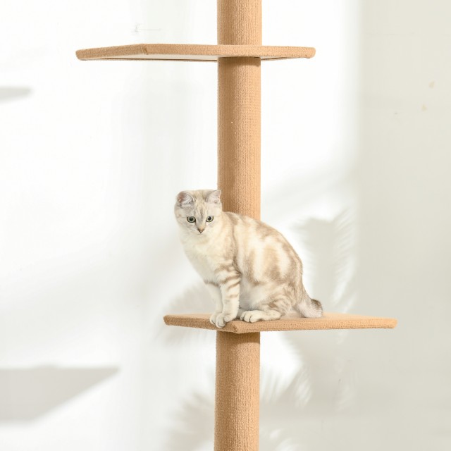 PawHut 4-Level Cat Scratching Post Tree, Ρυθμιζόμενη στερέωση οροφής, 43x27x228-260cm D30-296V02BN