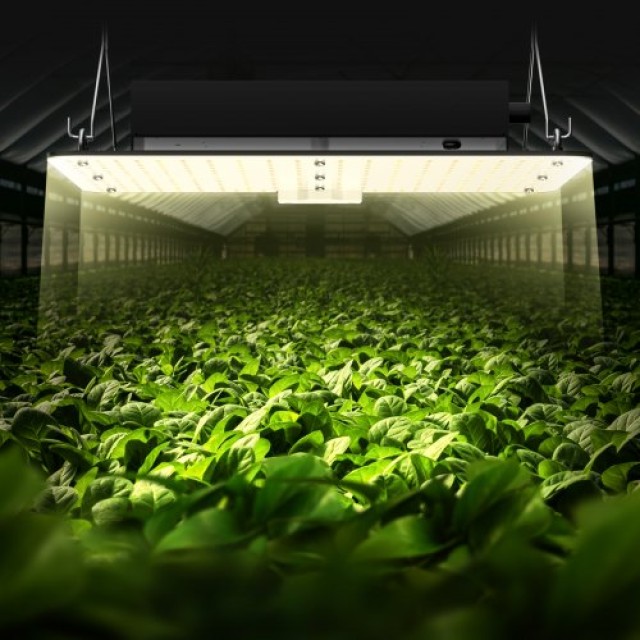 Φωτιστικό Καλλιέργειας VEVOR LED 150W, Πλήρες Φάσμα, Ρυθμιζόμενο, Samsung Δίοδοι, Για Εσωτερικά Φυτά, Σπορόφυτα, Θερμοκήπιο  LZB150W21220VN9EHV2