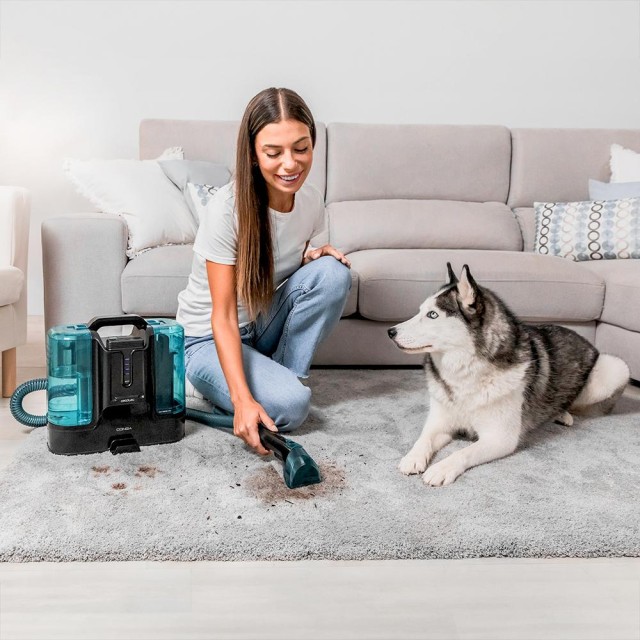 CECOTEC  Σκούπα Conga Carpet & Spot Clean Infinity με Ισχύ 150 W, 2 Εναλλάξιμες Μπαταρίες, 60 Λεπτά Αυτονομία, Ψεκαστήρα Νερού και Εξάρτημα για Παράθυρα  CEC-08666