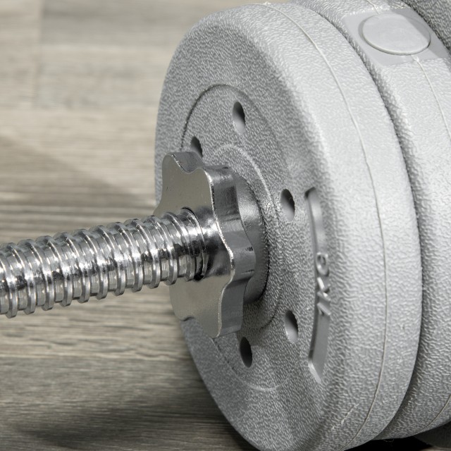 SPORTNOW Barbell για Squats, Deadlifts και Lifts, για Ø2,5 cm Βάρη από 100kg mx, σε ατσάλι, Ø2,5x170 cm, Ασημί A91-258V00SR