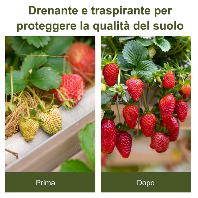 Outsunny Mulch Film 50x1 m σε Draining and Breathable PP για λαχανό...
