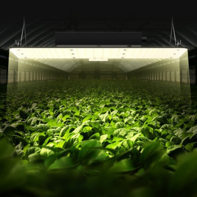 VEVOR LED Φωτιστικό Καλλιέργειας, 200W Πλήρους Φάσματος, Ρυθμιζόμενο για Εσωτερικά Φυτά, Θερμοκήπιο  LZBZWSZ210W22PVC8V2