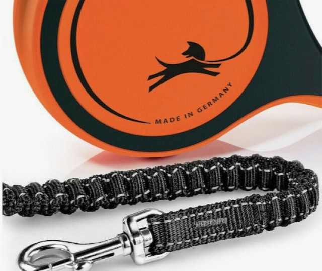 Πτυσσόμενο Λουρί/Οδηγός Σκύλου Flexi Xtreme M 5m Έως 25kg Πορτοκαλί4000498034309 Flexi
