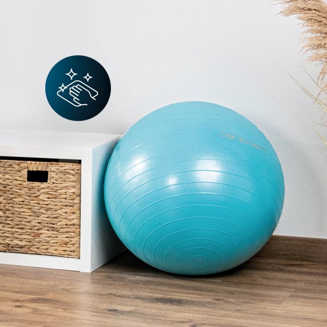 CECOTEC  Μπάλα Γυμναστικής DrumFit 65cm με Αντλία - Ιδανική για Ασκήσεις Τόνωσης & Ενδυνάμωσης Σώματος  CEC-07131