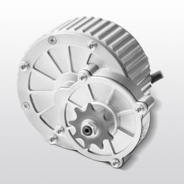 VEVOR Σετ Ηλεκτρικού Κινητήρα 450W με Βούρτσες DC 36V 3000rpm με Ρυθμιστή Ταχύτητας ZLYSDJTJ450WPSXIWV9