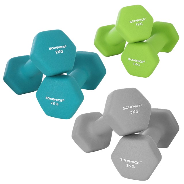 SONGMICS Σετ 6 τμχ Εξάγωνων Αλτήρων 1kg, 2kg, 3kg  με Βάση σε Λαχανί, Τιρκουάζ και Ανοιχτό Γκρι -SYL612GN 