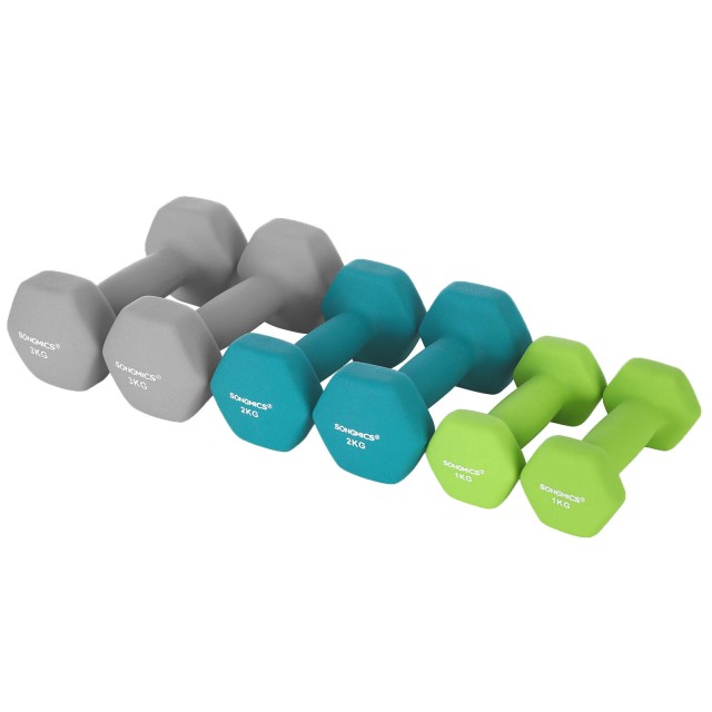 SONGMICS Σετ 6 τμχ Εξάγωνων Αλτήρων 1kg, 2kg, 3kg  με Βάση σε Λαχανί, Τιρκουάζ και Ανοιχτό Γκρι -SYL612GN 