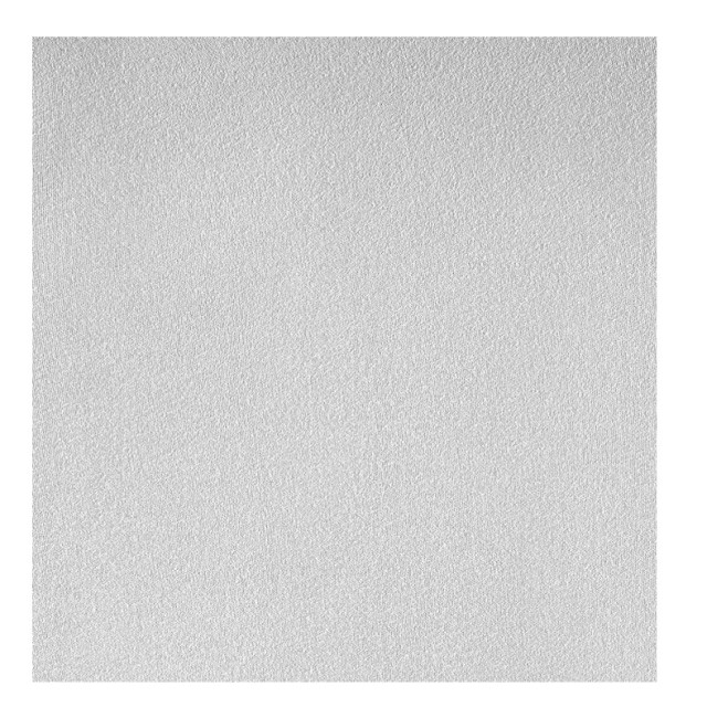 King Size Σεντόνι Jersey με Λάστιχο 190 x 200 x 30 cm Χρώματος Λευκ...
