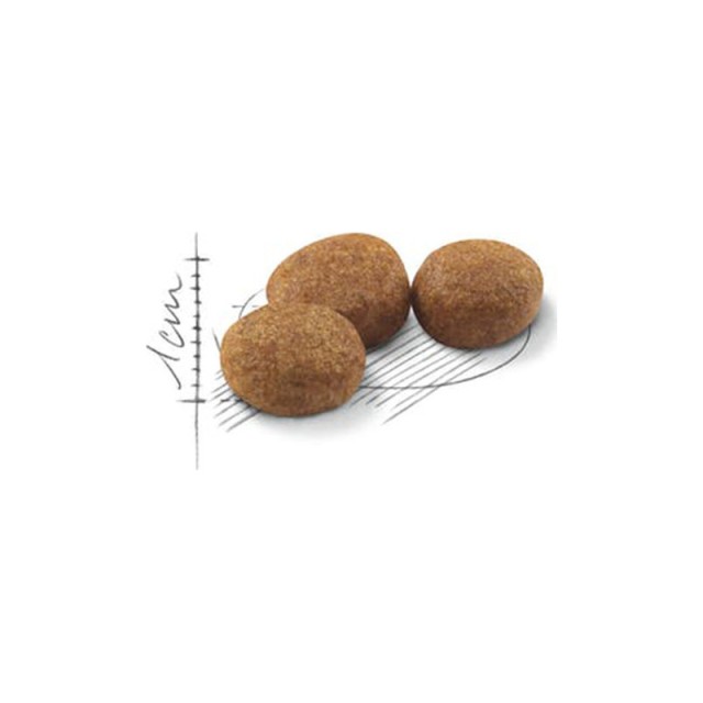 Ξηρά Τροφή Γάτας Royal Canin Sterilised 37 4 Kg 3182550737616
