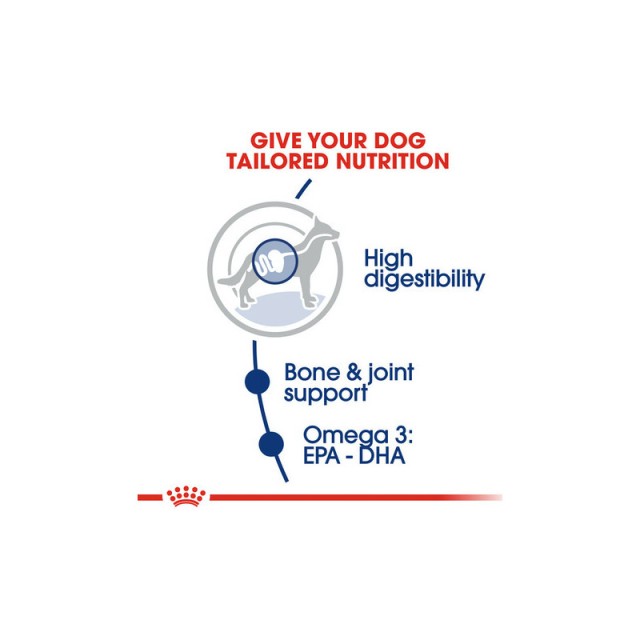 Ξηρά Τροφή Σκύλων Royal Canin Maxi Adult 15 Kg 3182550401937