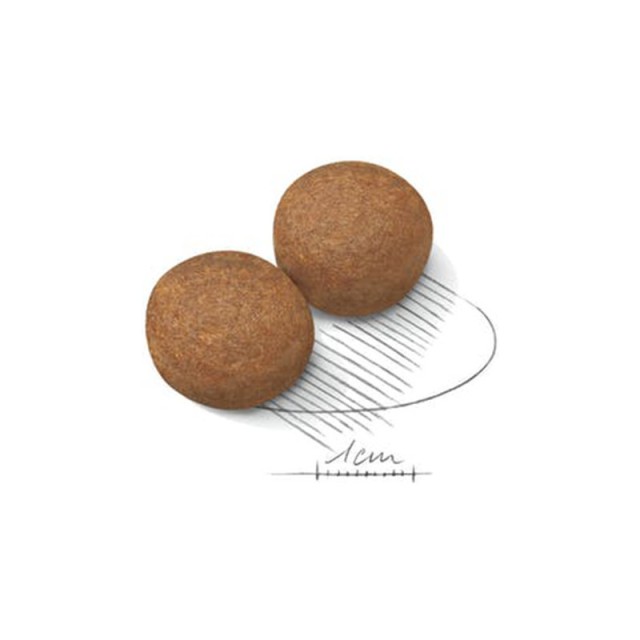 Ξηρά Τροφή Σκύλων Royal Canin Maxi Adult 15 Kg 3182550401937