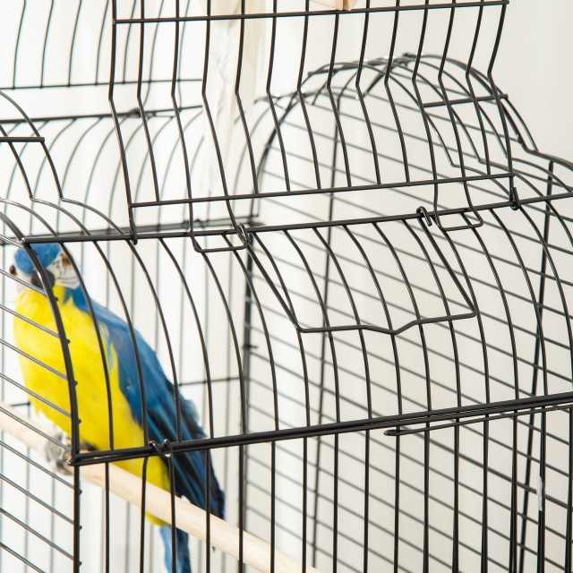 PawHut Bird Cage με 3 κούρνιες, 2 μπολ και 2 πλαϊνές πόρτες, σε ατσάλι, PP και ξύλο, 46x36x130 cm, Μαύρο D10-077