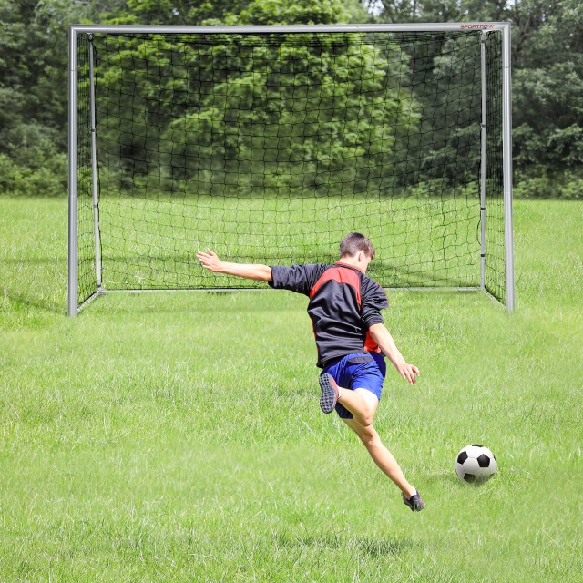 SPORTNOW Γκρι ποδοσφαιρικό γκολ 300x120x200 cm με βίδες και μανταλά...