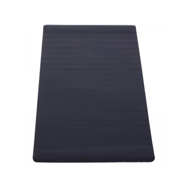 Πολυλειτουργικό Χαλάκι Γυμναστικής 170 x 75 x 0.4T cm HOMCOM A93-035