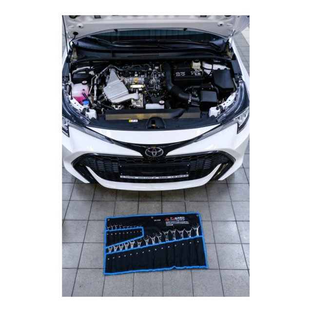 Σετ Κλειδιών CR-V 25 τμχ TAGRED TA1202