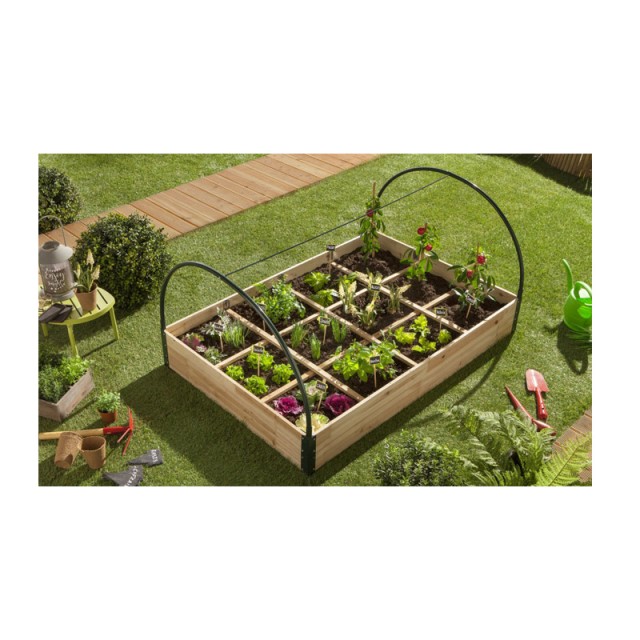 Σετ Mini Θερμοκήπια με 12 Διαμερίσματα 120 x 80 x 50 cm Inkazen 30030173