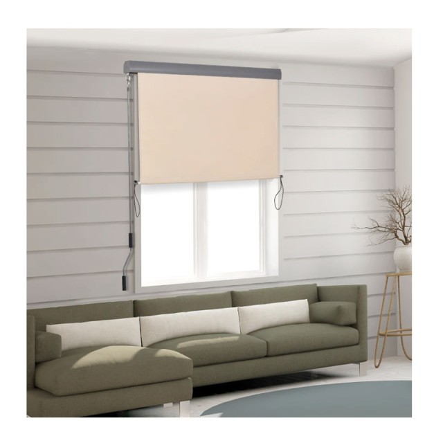 Στόρι Σκίασης Ρόλερ με Μανιβέλα 120 x 200 cm Outsunny 830-235CW