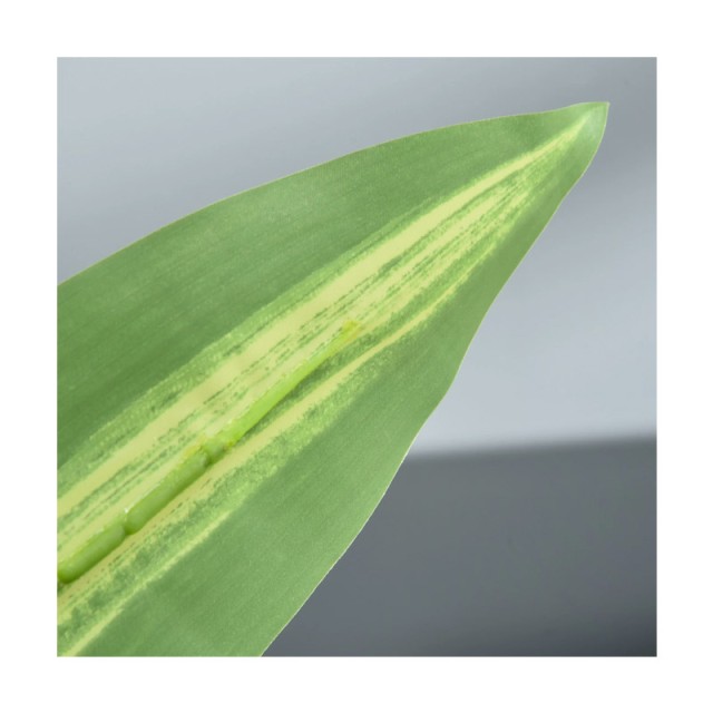Τεχνητό Φυτό Dracaena 110 cm Outsunny 844-336
