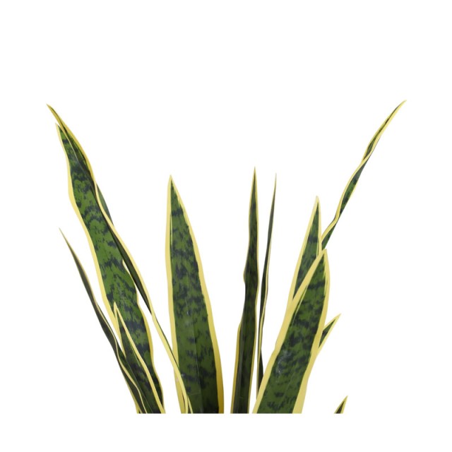 Τεχνητό Φυτό Sanseveria 80 cm Outsunny 844-267
