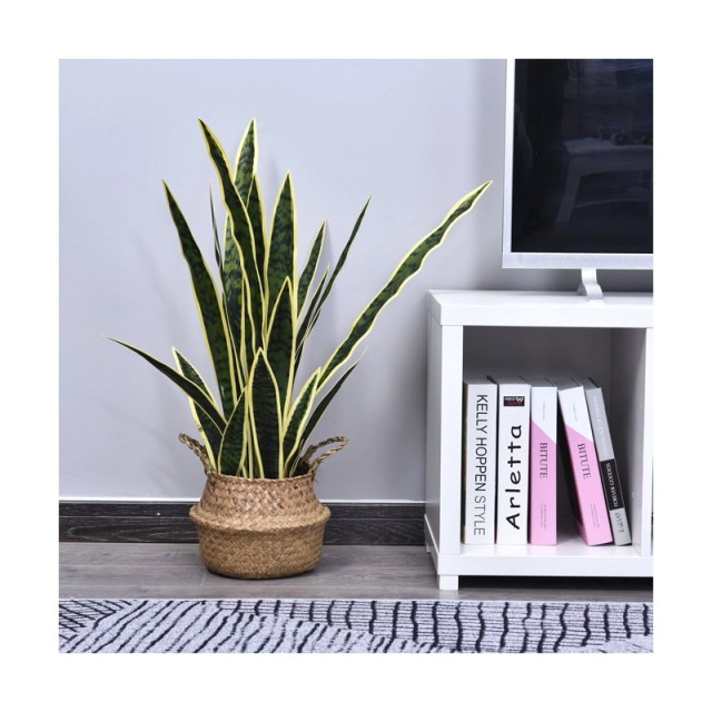 Τεχνητό Φυτό Sanseveria 80 cm Outsunny 844-267