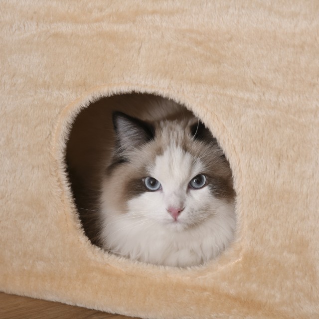 PawHut Scratching Post Οροφής 210-240cm με κίτρινα σχοινιά από γιούτα D30-347YL
