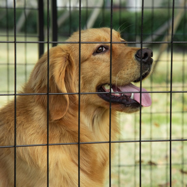 PawHut Foldable Dog Run με κάλυμμα, 8 πάνελ με πόρτα που κλειδώνει, 141x141x113cm, Μαύρο D02-095