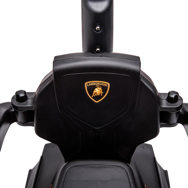 AIYAPLAY Αυτοκίνητο για Παιδιά 2 σε 1 Μάρκα Lamborghini, Push Car με λαβή και προστατευτικό φράγμα, Τιμόνι και κόρνα, πράσινο 370-223V00GN