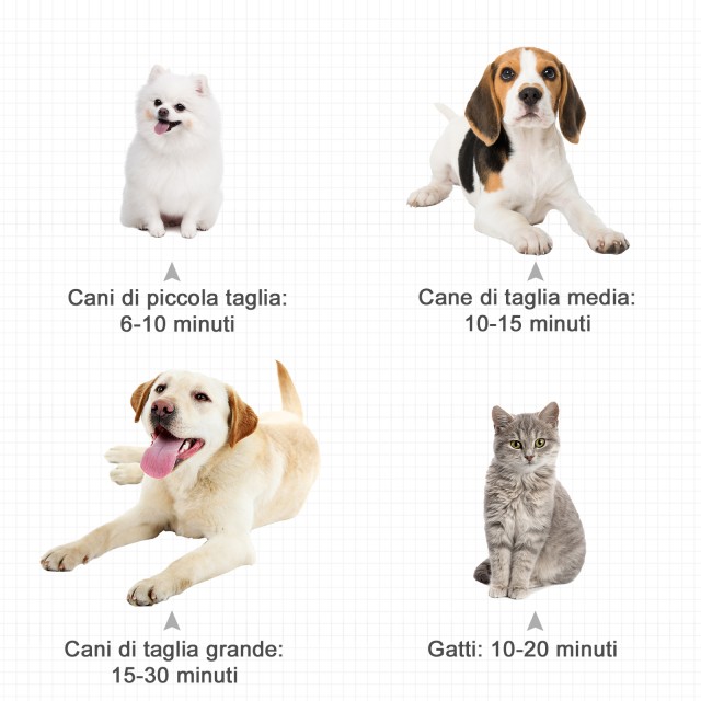 PawHut Dog Blower με ρυθμιζόμενη ταχύτητα και θερμοκρασία, εύκαμπτο σωλήνα και 3 ακροφύσια, 2400W, μαύρο D01-036V90