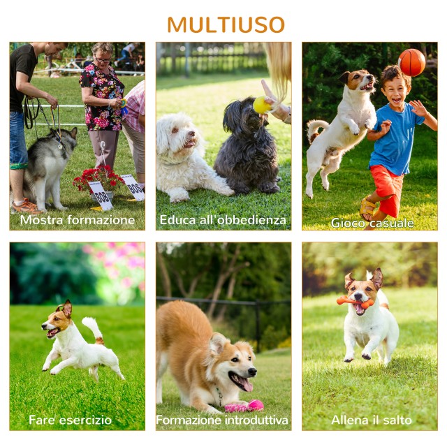 PawHut Dog Agility Set για εκπαίδευση σκύλων με ρυθμιζόμενα εμπόδια, σλάλομ και τούνελ D07-024