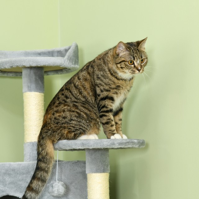 PawHut Tall Cat Scratching Tree with Houses and Hammocks, 60x60x200cm, Ανοιχτό Γκρι D30-023V01