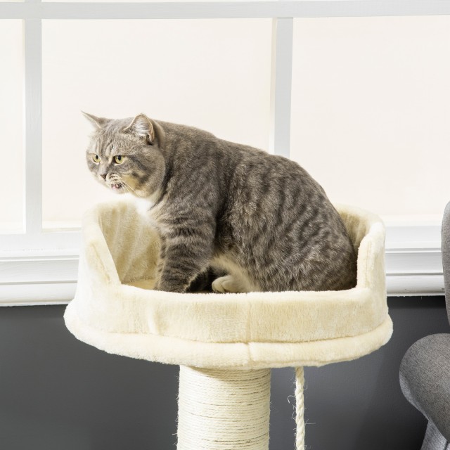 PawHut Scratching Tree for Cats με Κρεβάτι και βελούδινη μπάλα και κοντάρι σιζάλ 55x55x83cm Μπεζ D30-551V00BG