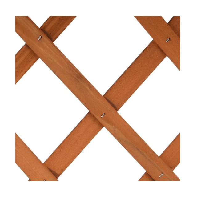 Ξύλινη Ζαρντινιέρα Κήπου με Καφασωτό 56 x 30.5 x 76 cm Hoppline HOP...