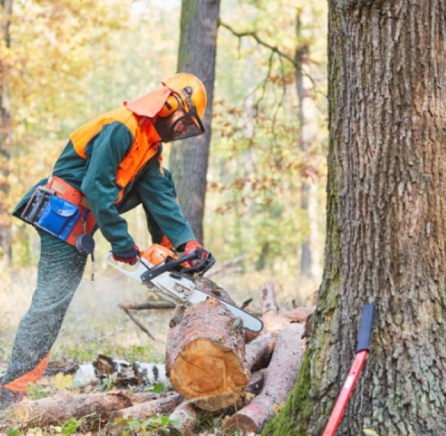 Πώς να Επιλέξετε το Σωστό Αλυσ … Πώς να Επιλέξετε το Σωστό Αλυσ …
